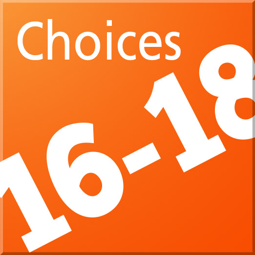 Choices 16-18