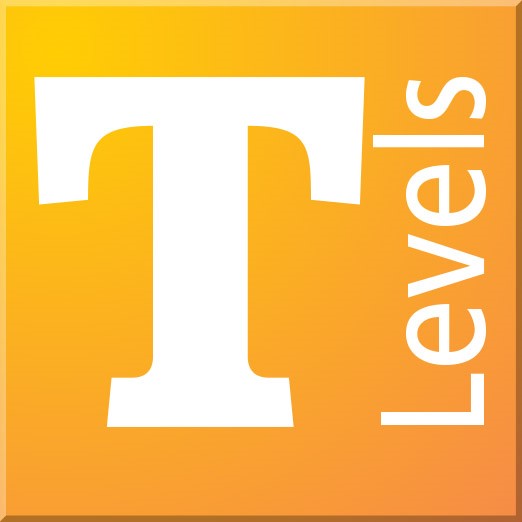 T Levels