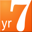 Year 7